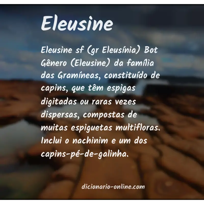 Significado de eleusine