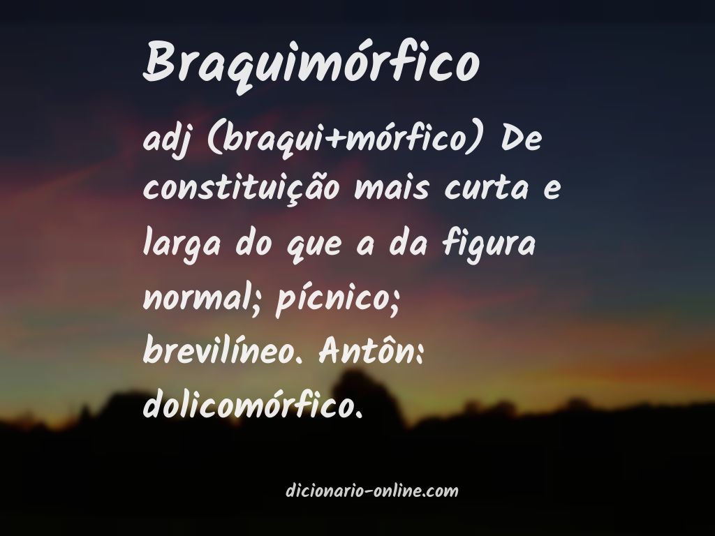 Significado de braquimórfico