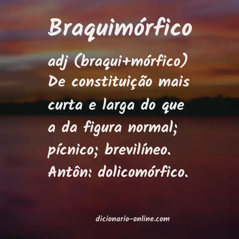 Significado de braquimórfico