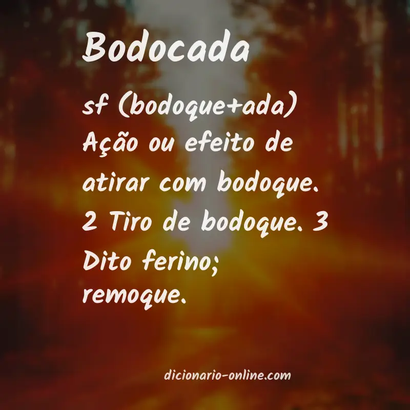 Significado de bodocada