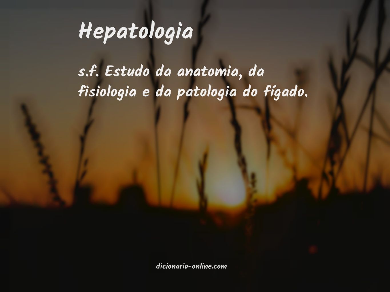 Significado de hepatologia