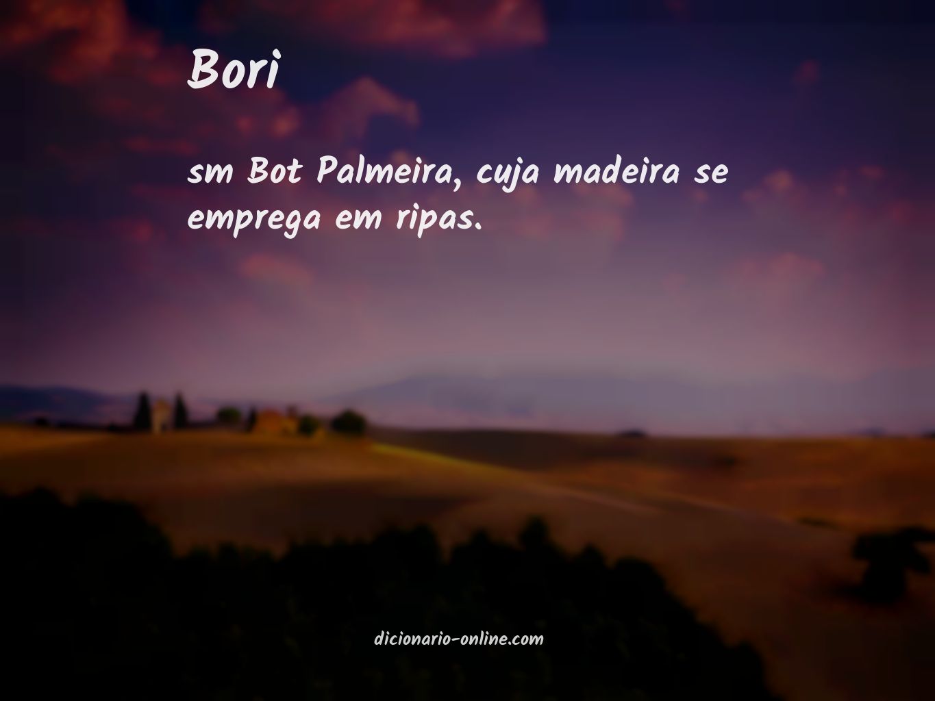 Significado de bori