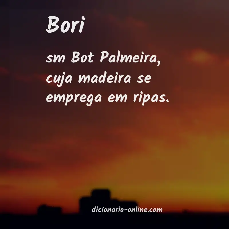 Significado de bori