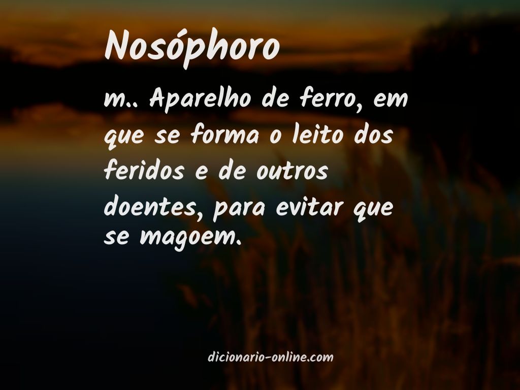 Significado de nosóphoro