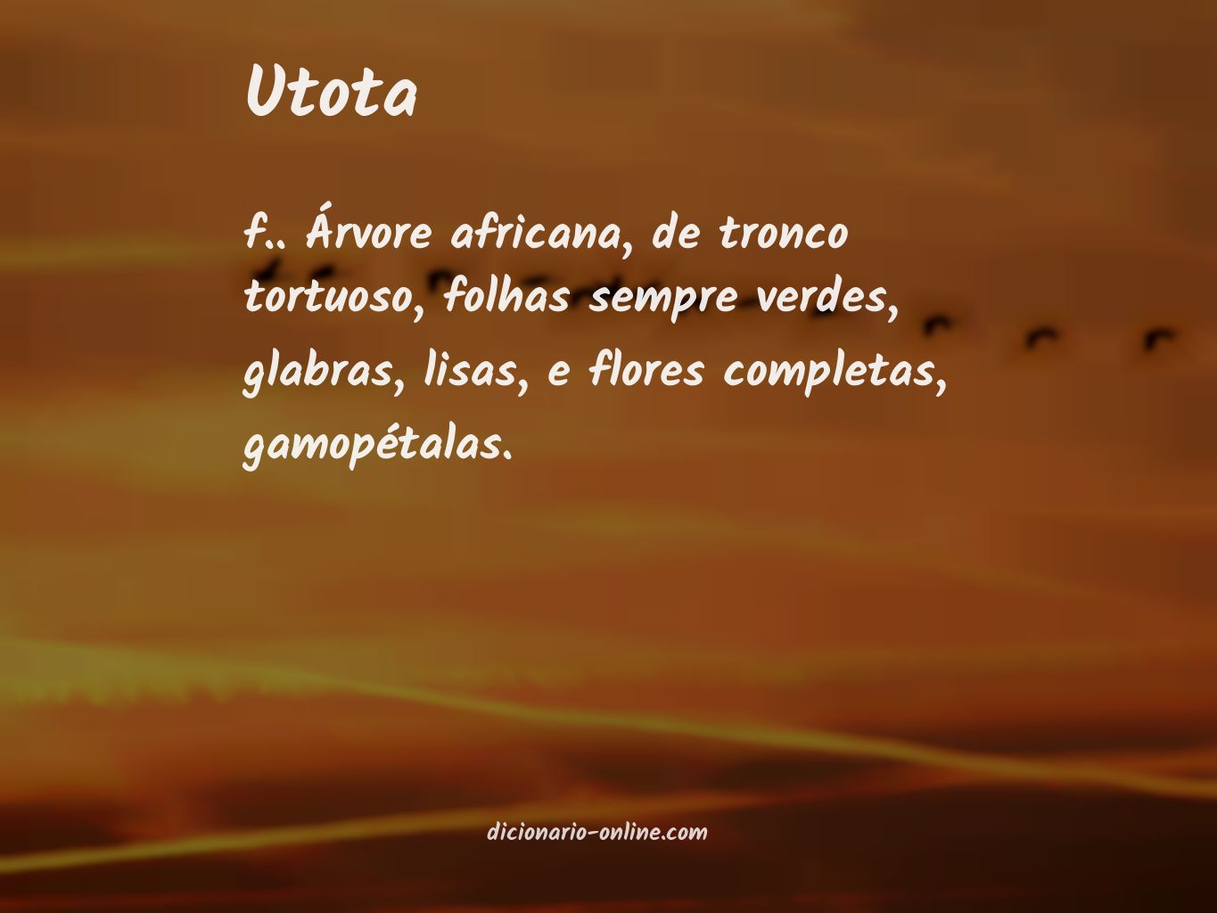 Significado de utota