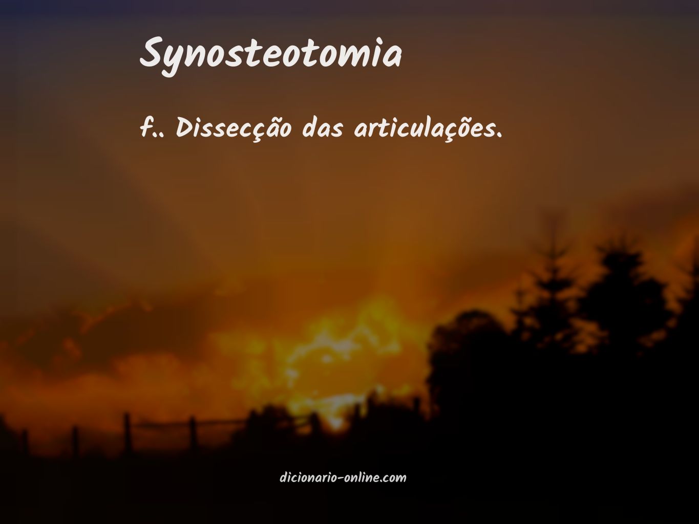 Significado de synosteotomia