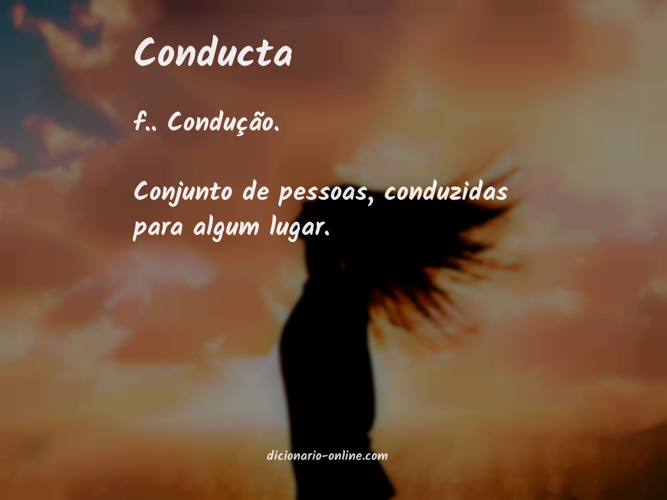 Significado de conducta