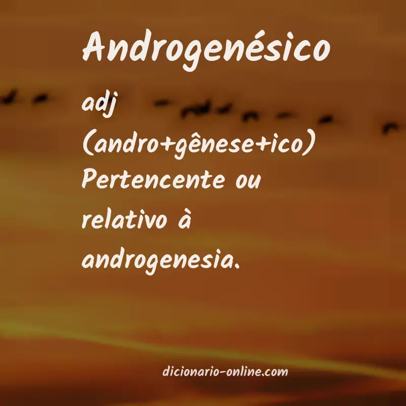 Significado de androgenésico