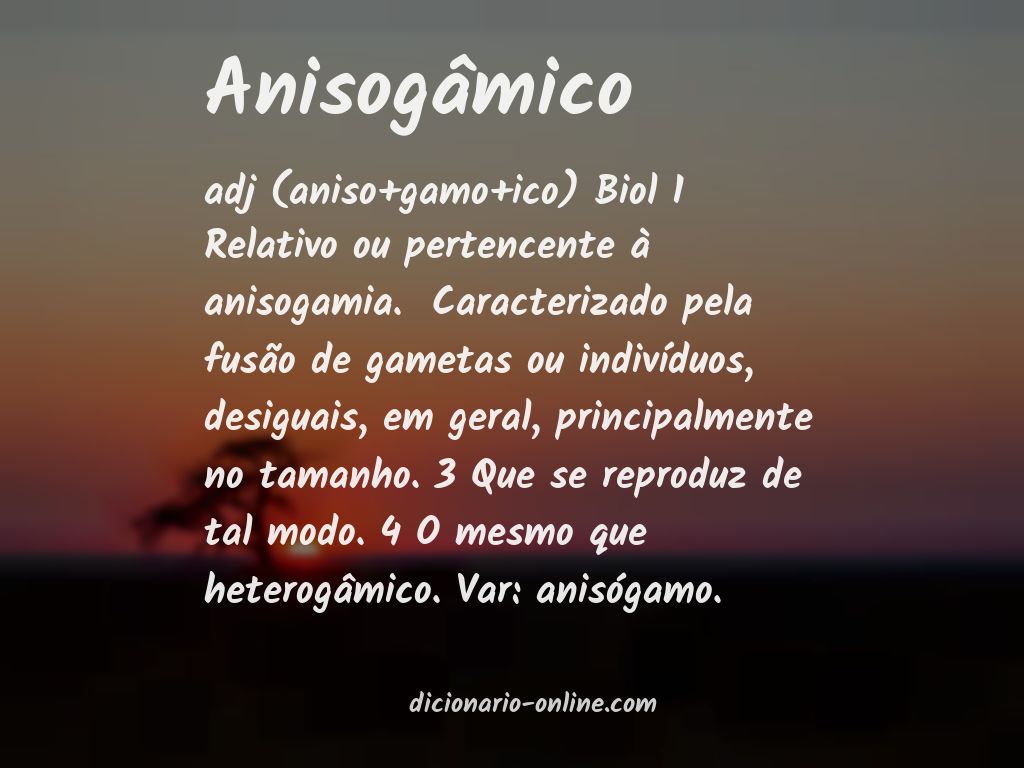 Significado de anisogâmico