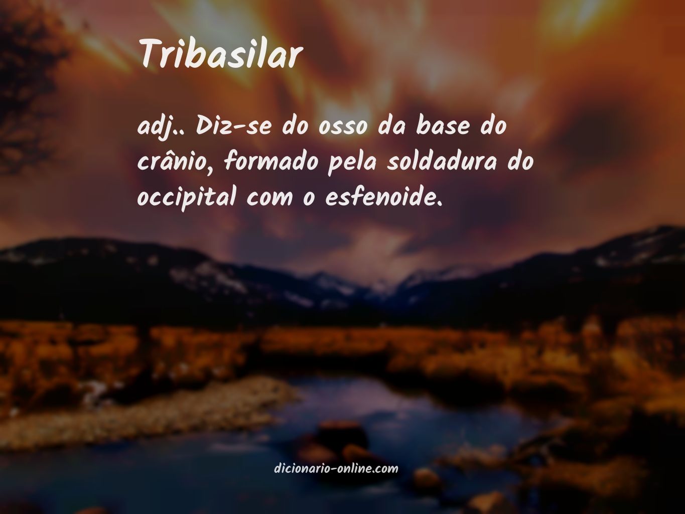 Significado de tribasilar