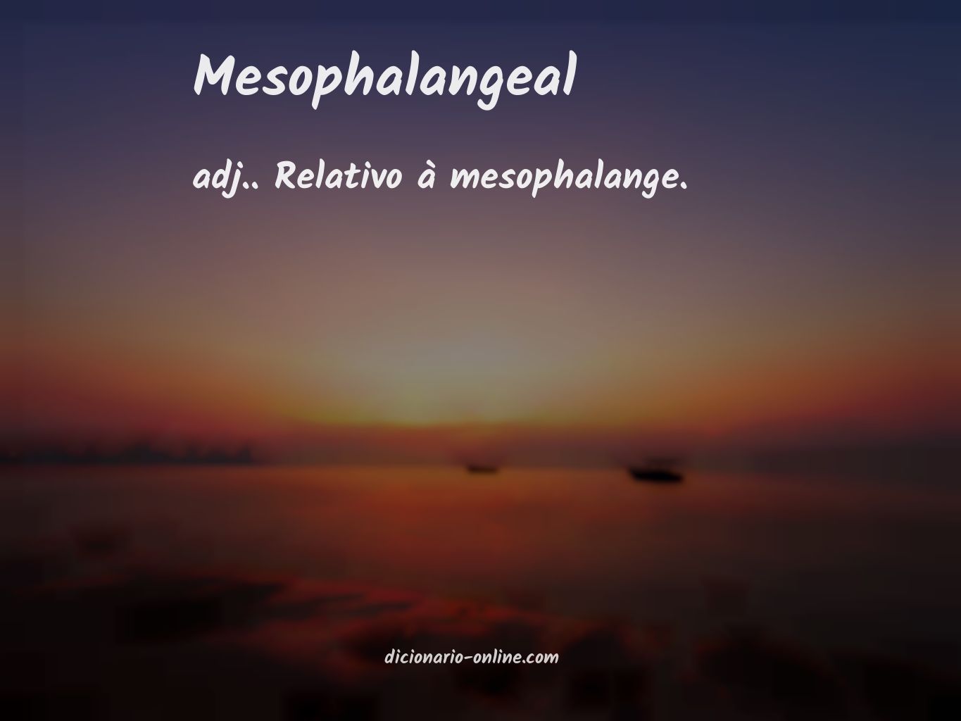 Significado de mesophalangeal