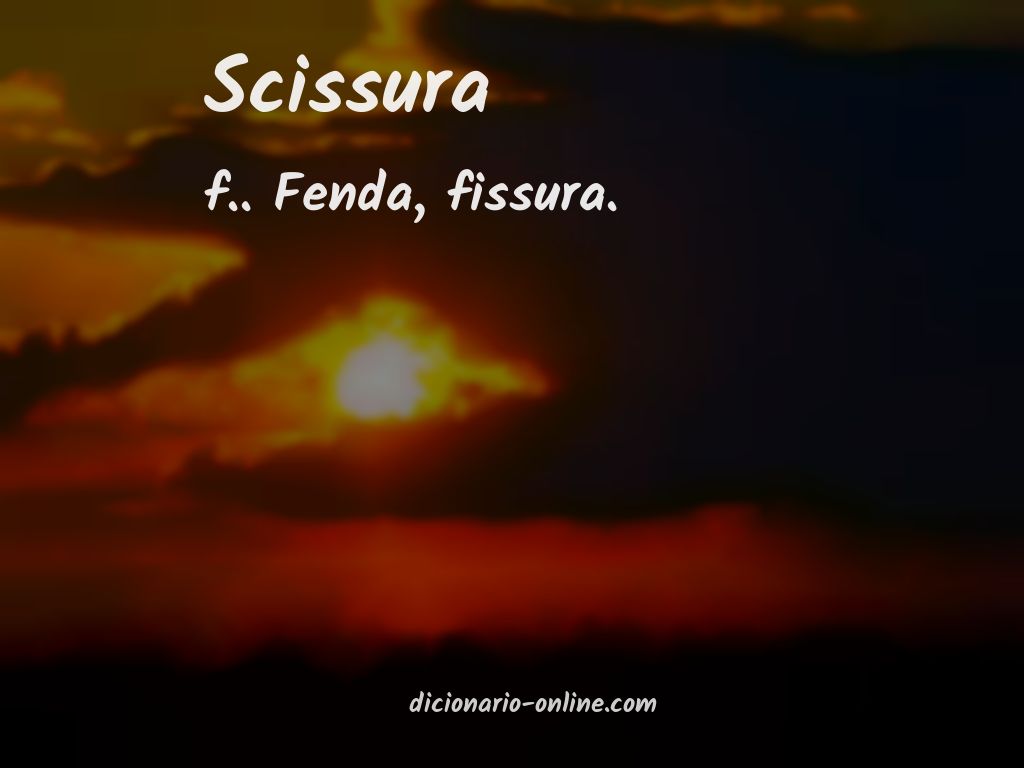 Significado de scissura