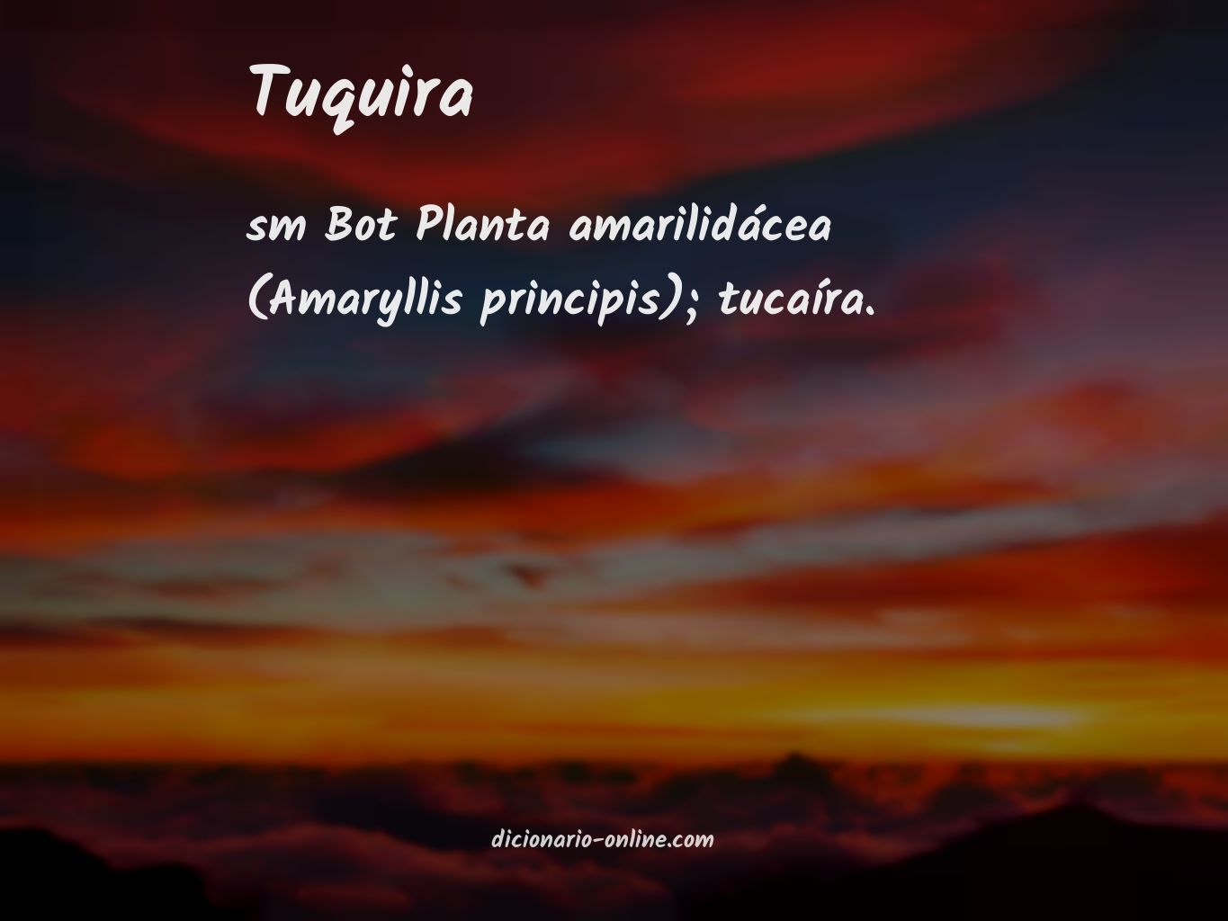 Significado de tuquira