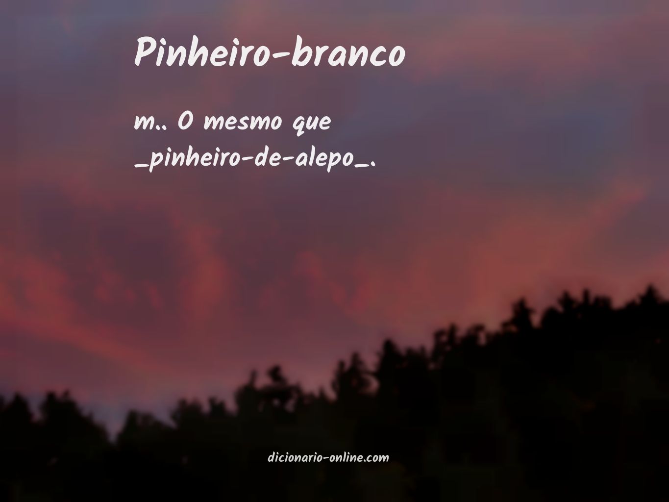 Significado de pinheiro-branco