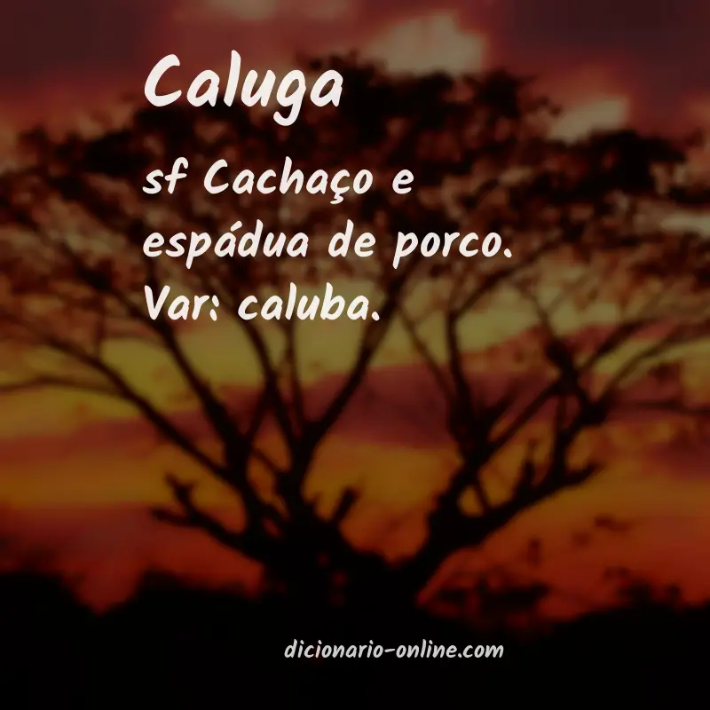 Significado de caluga