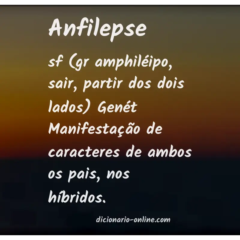 Significado de anfilepse
