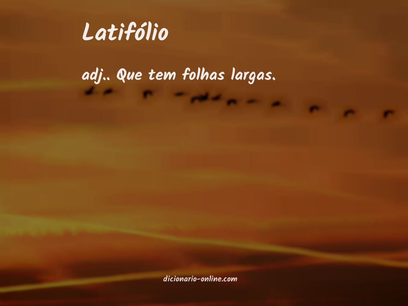 Significado de latifólio