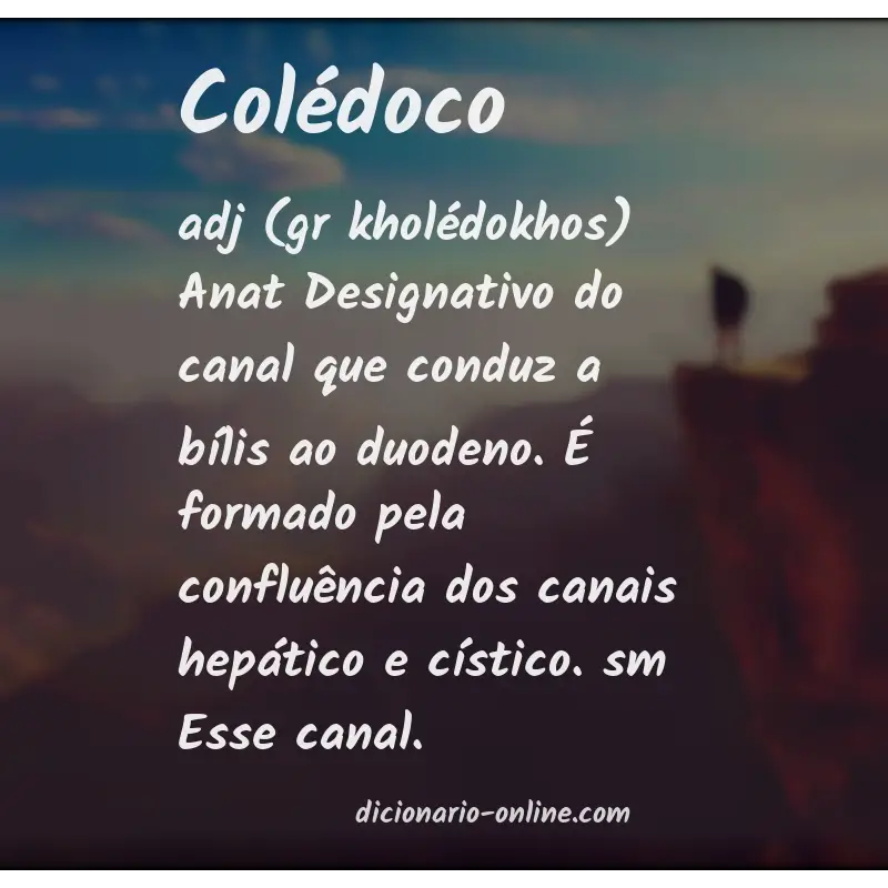 Significado de colédoco