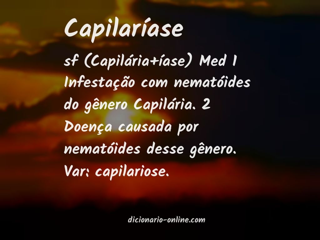 Significado de capilaríase