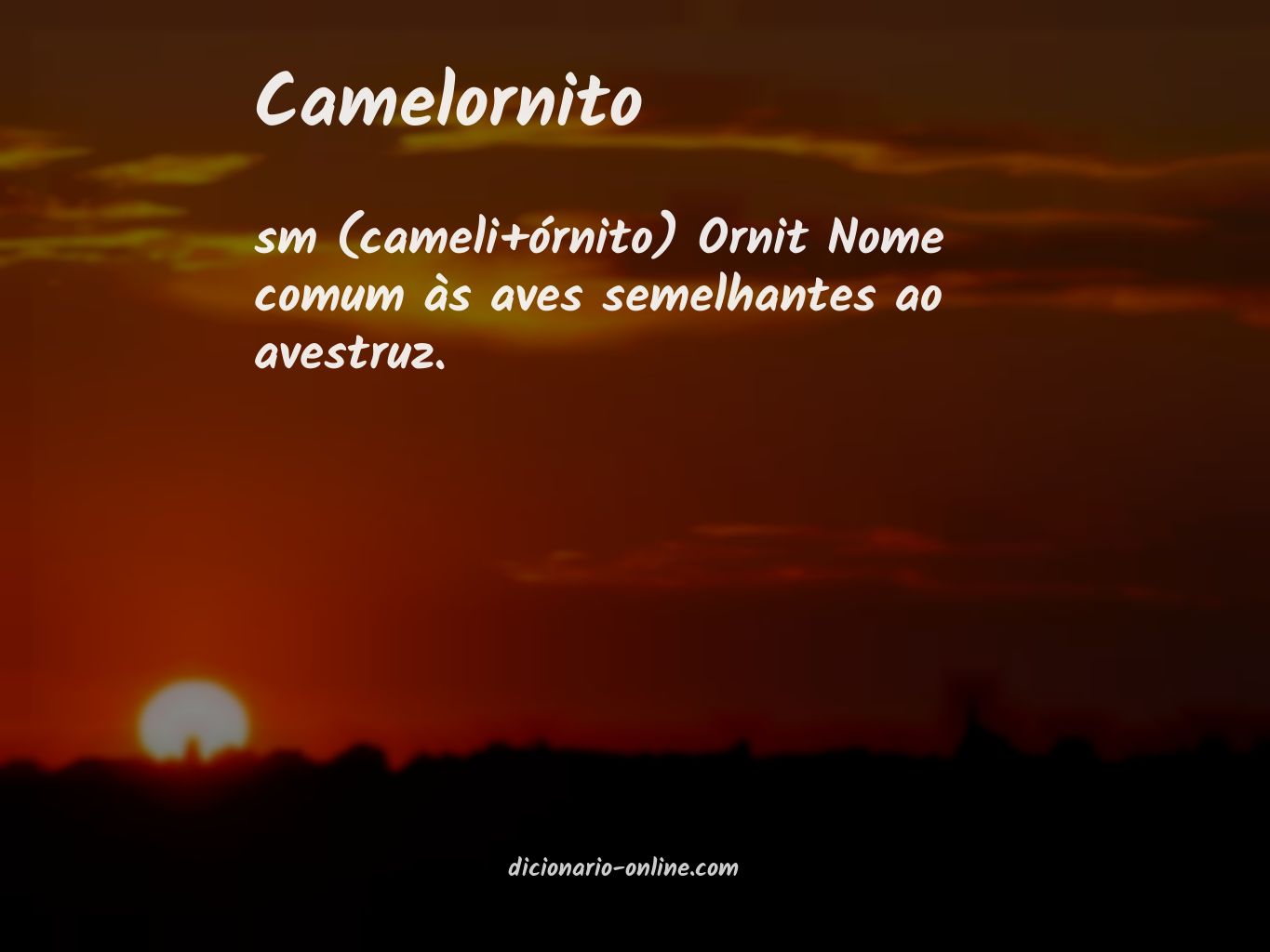 Significado de camelornito