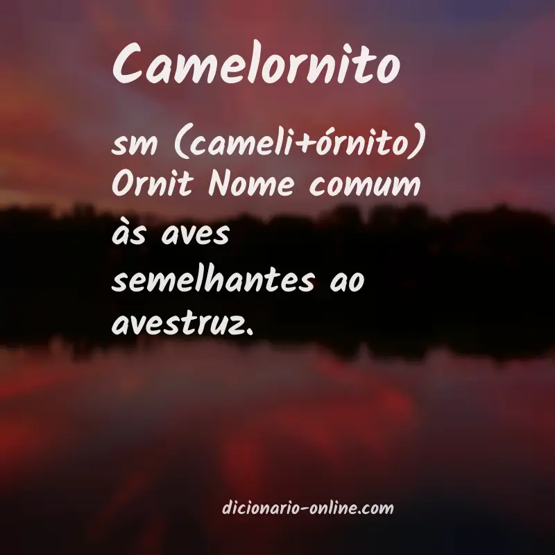 Significado de camelornito