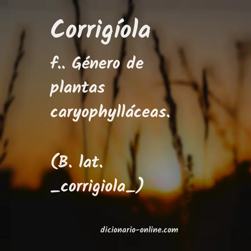 Significado de corrigíola
