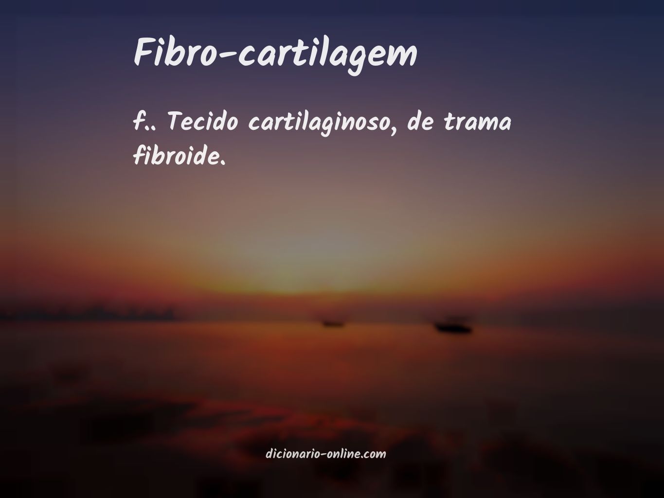 Significado de fibro-cartilagem