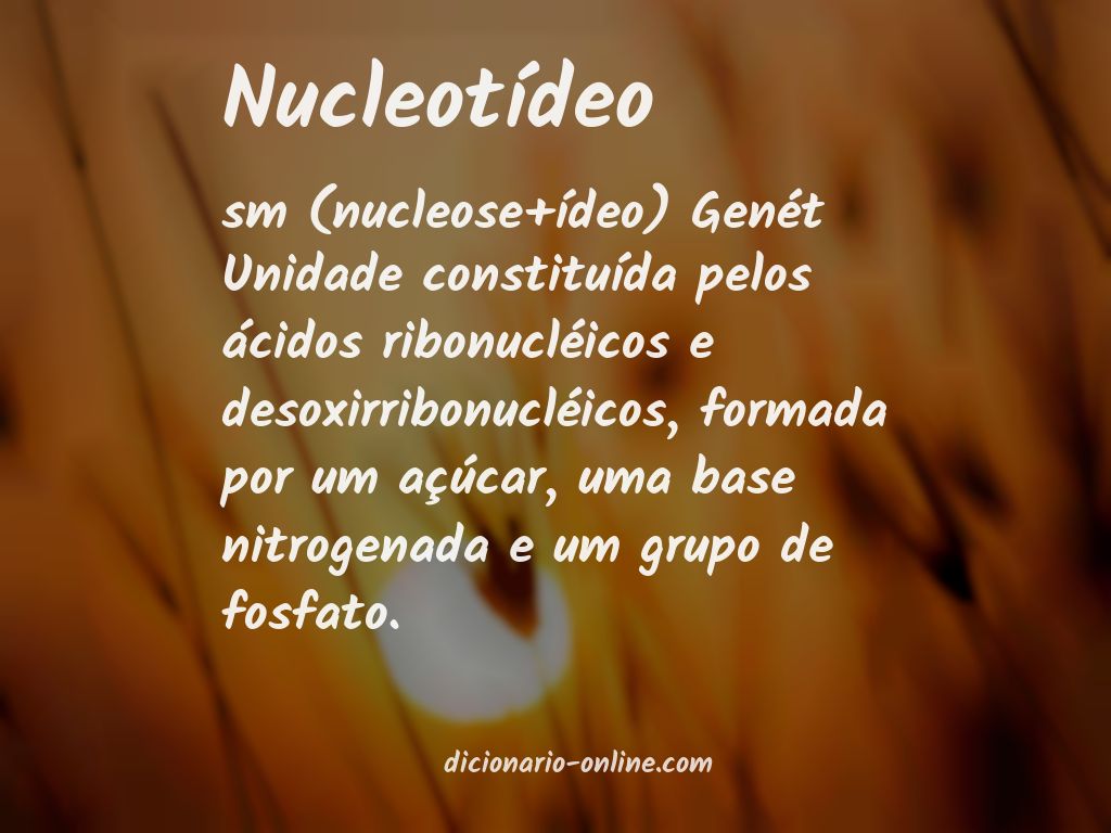 Significado de nucleotídeo