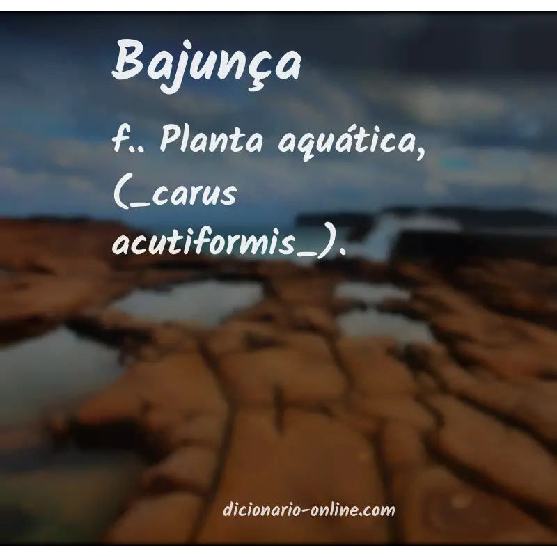 Significado de bajunça