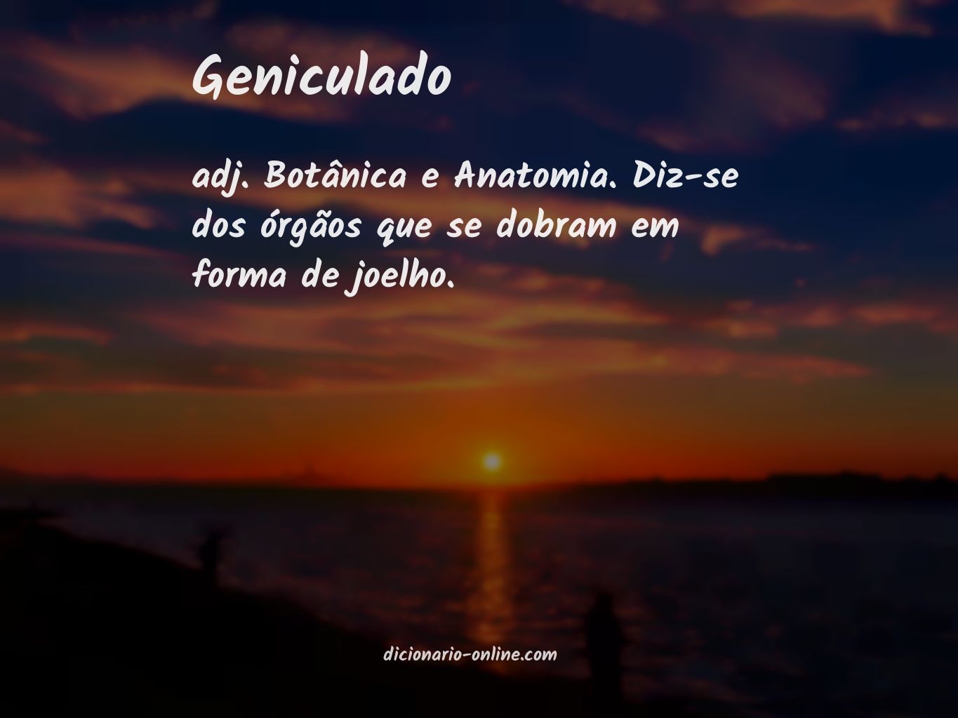 Significado de geniculado