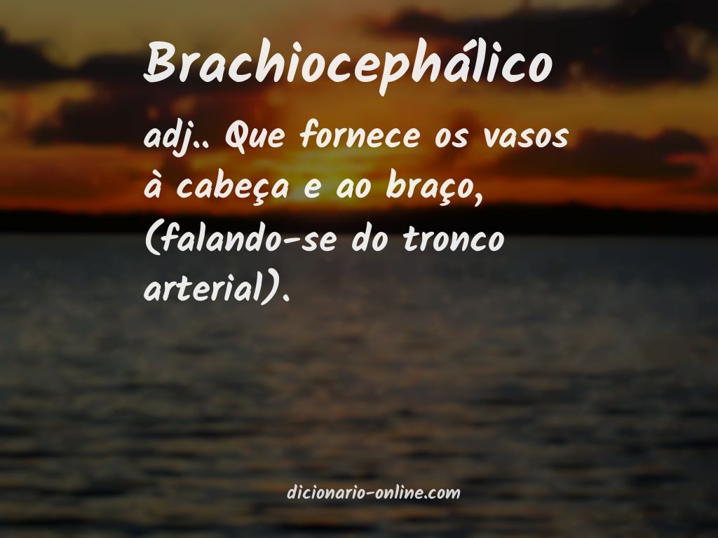Significado de brachiocephálico