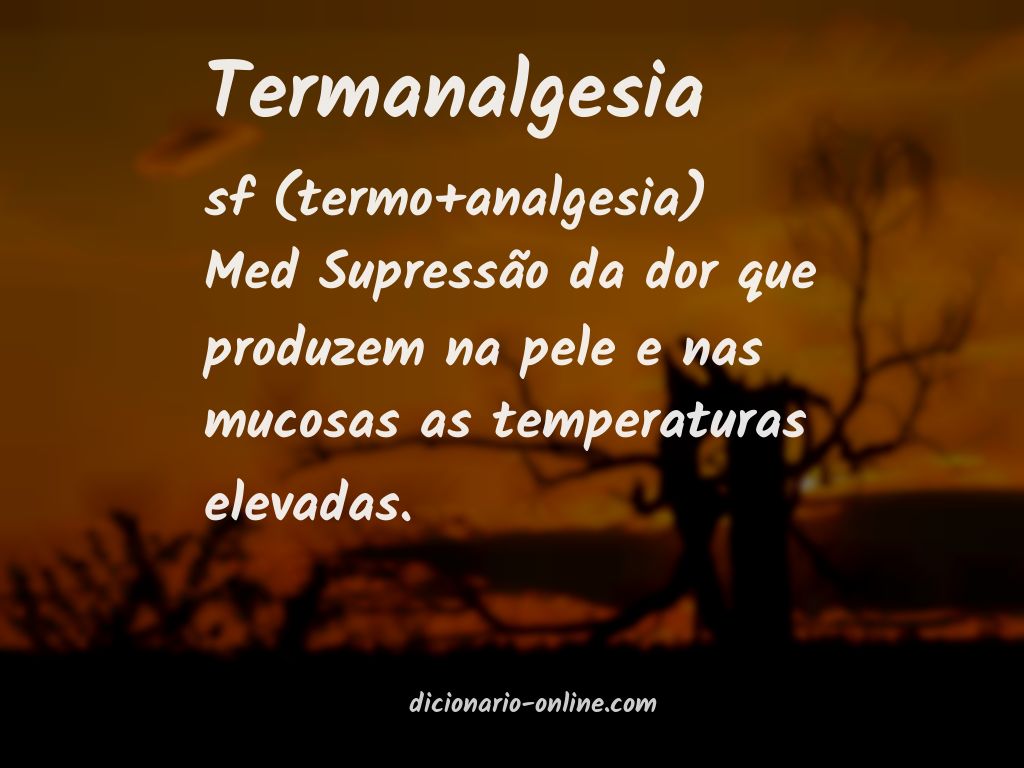 Significado de termanalgesia