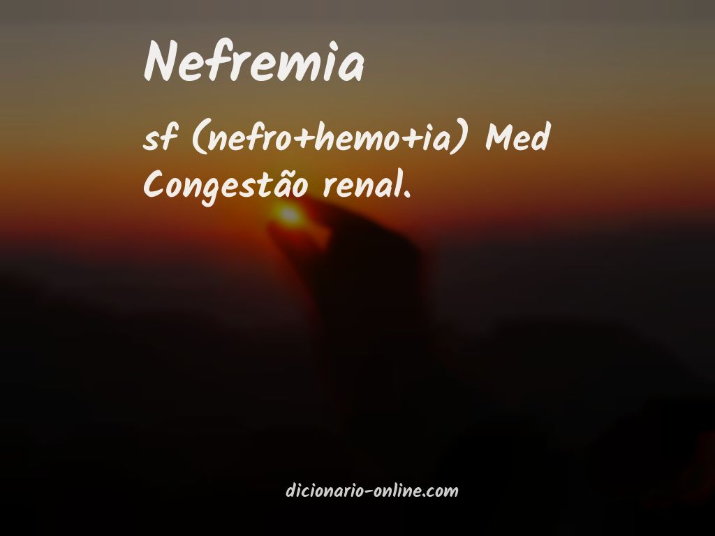 Significado de nefremia