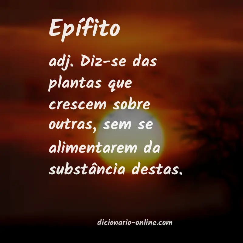 Significado de epífito