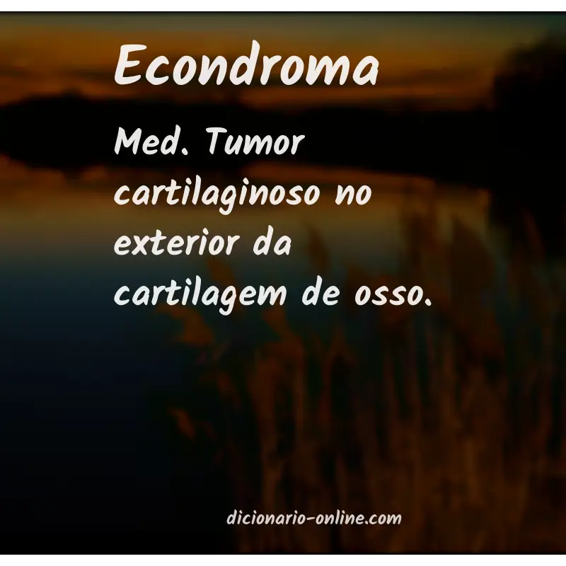Significado de econdroma