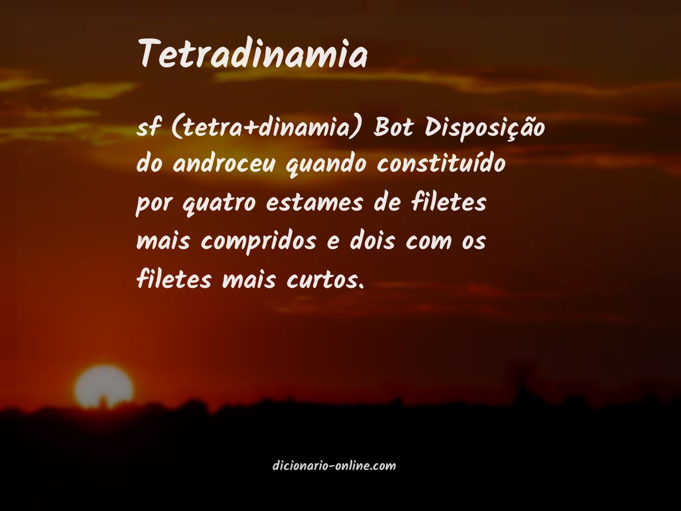 Significado de tetradinamia