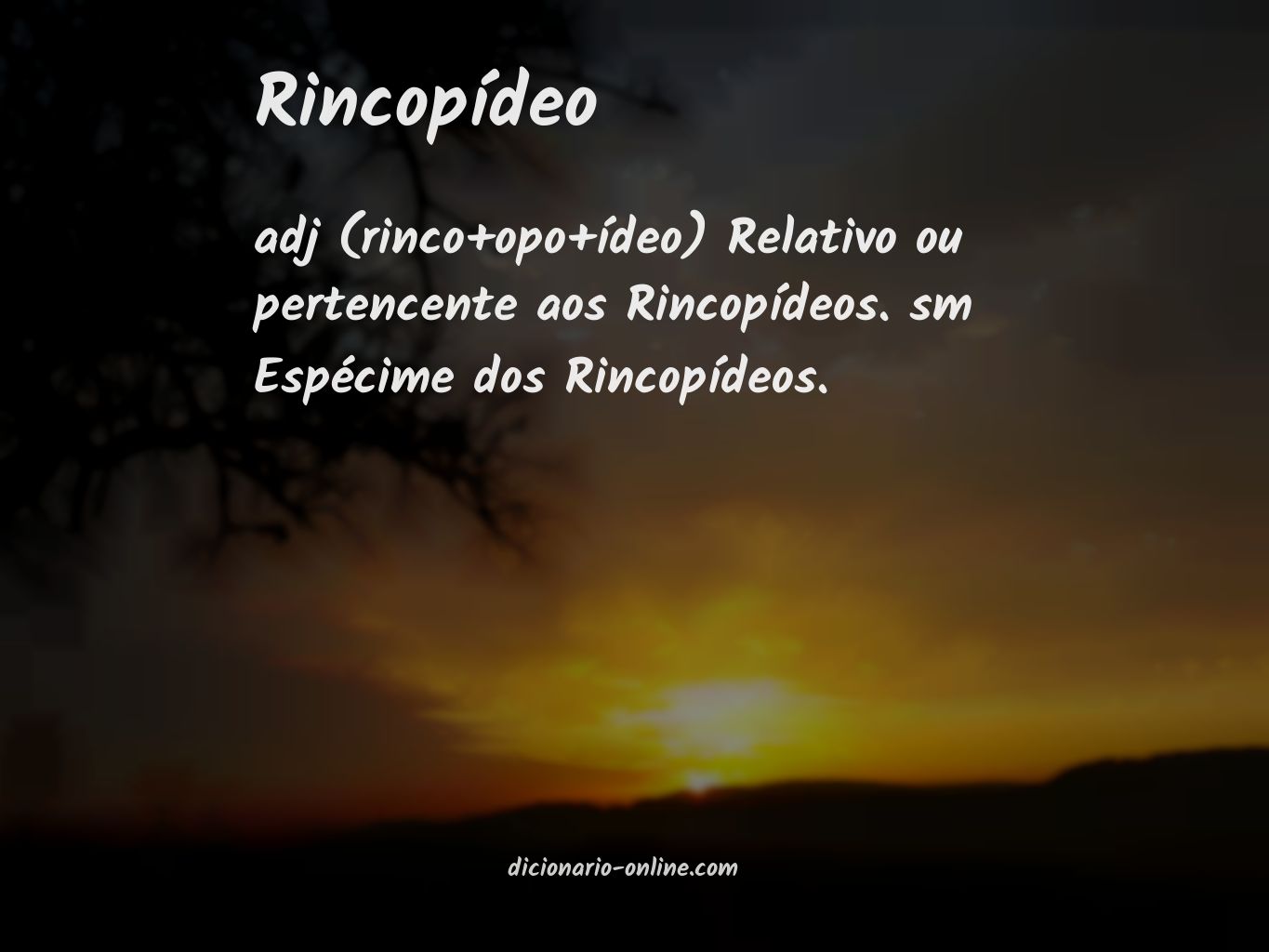 Significado de rincopídeo