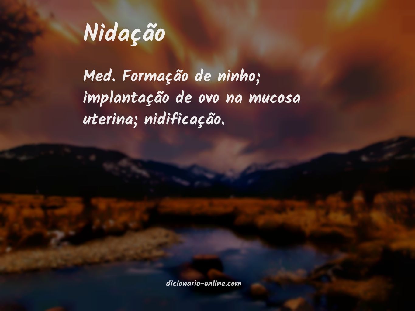 Significado de nidação