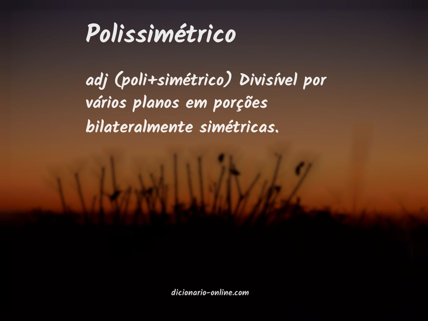 Significado de polissimétrico