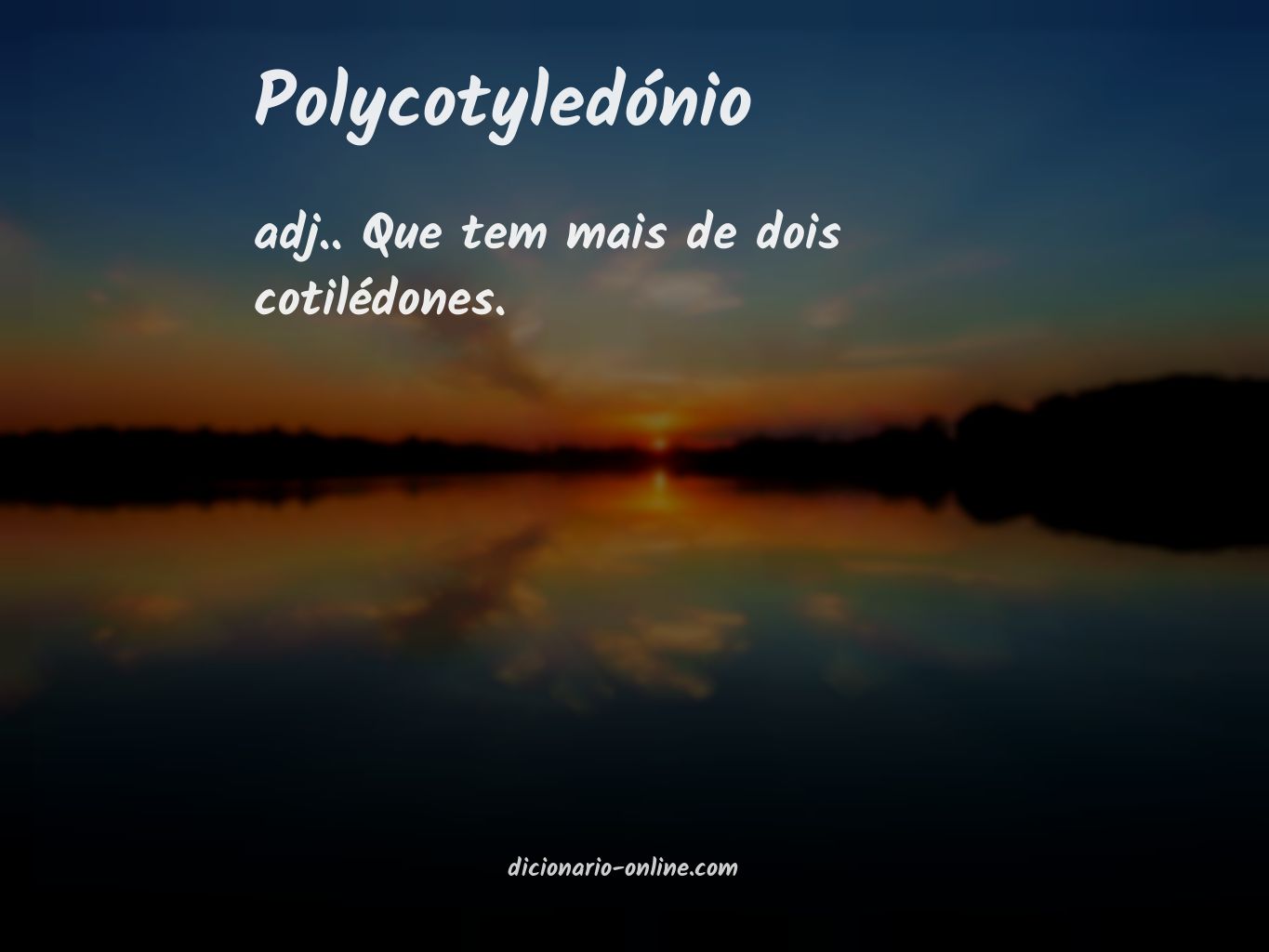 Significado de polycotyledónio