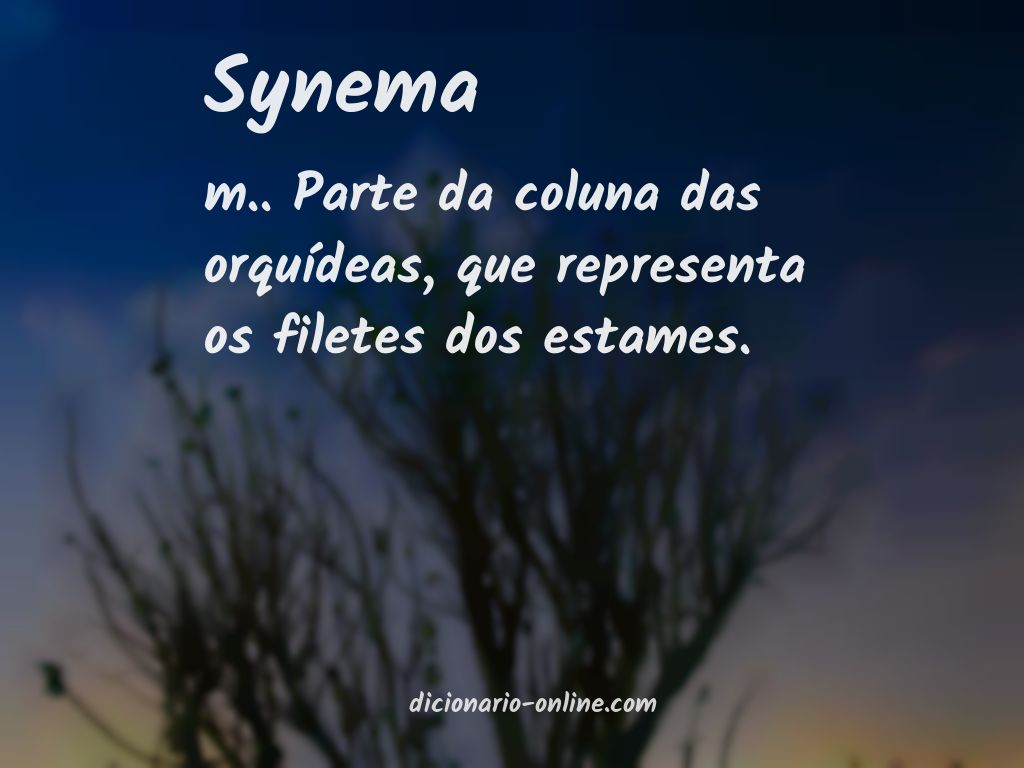 Significado de synema