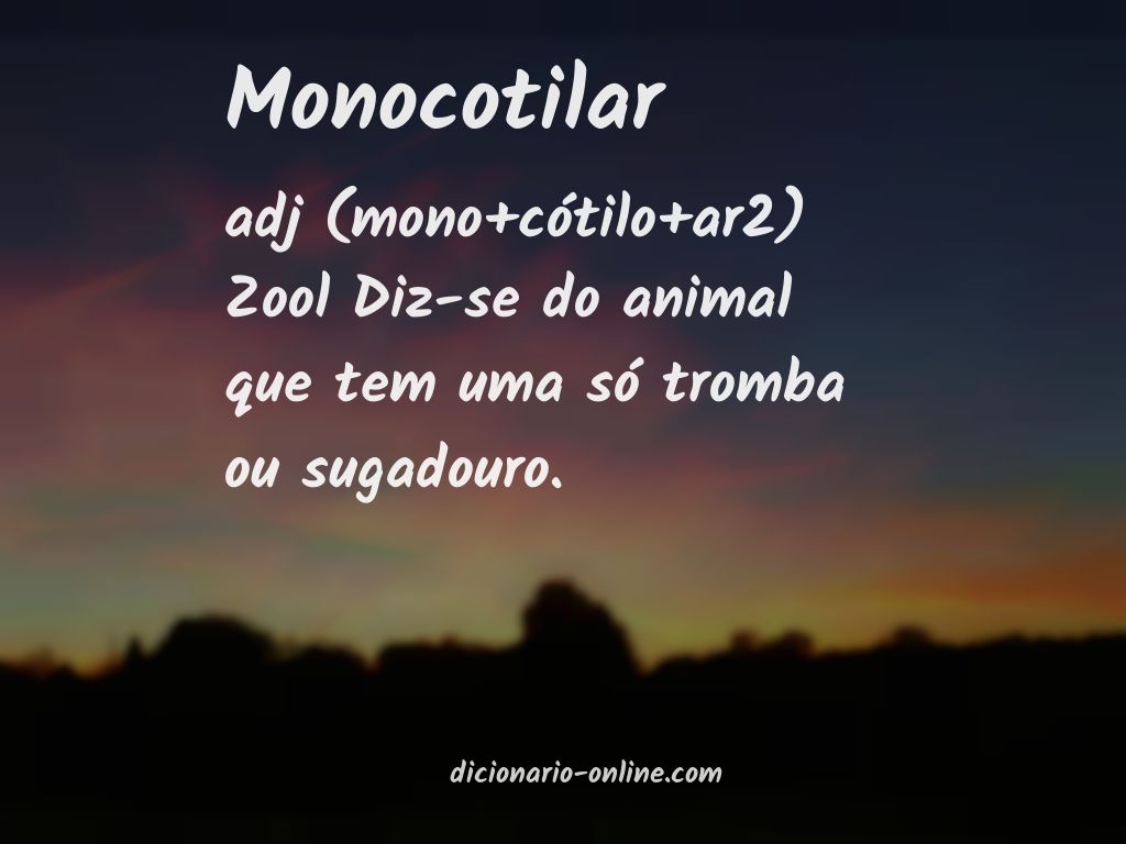 Significado de monocotilar