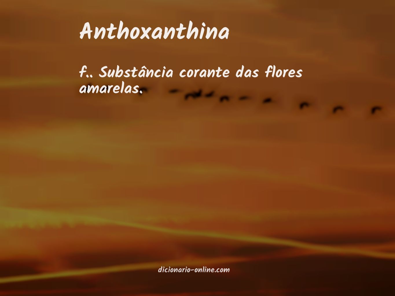 Significado de anthoxanthina