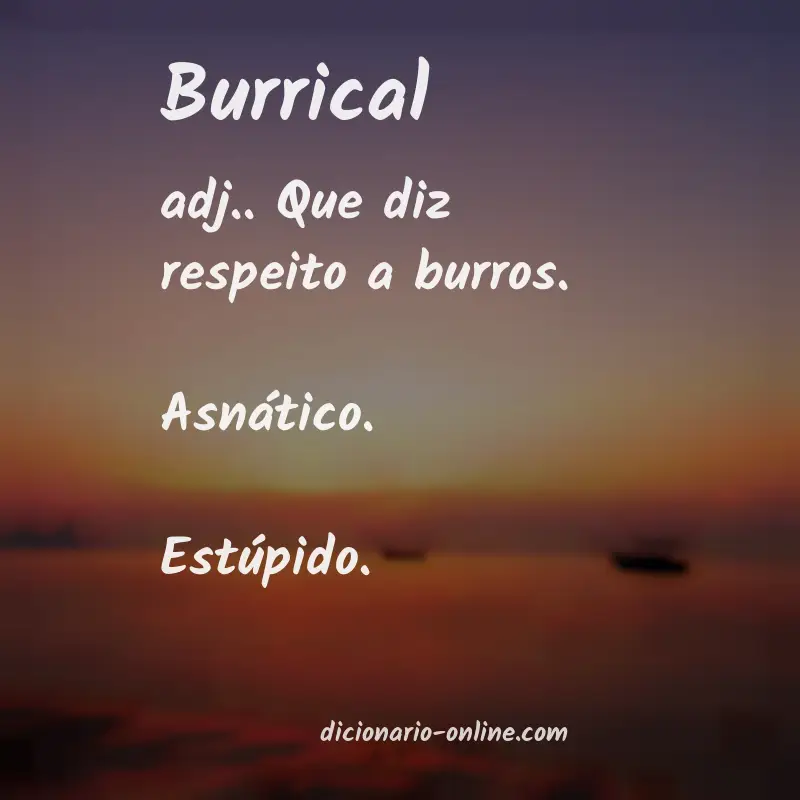 Significado de burrical