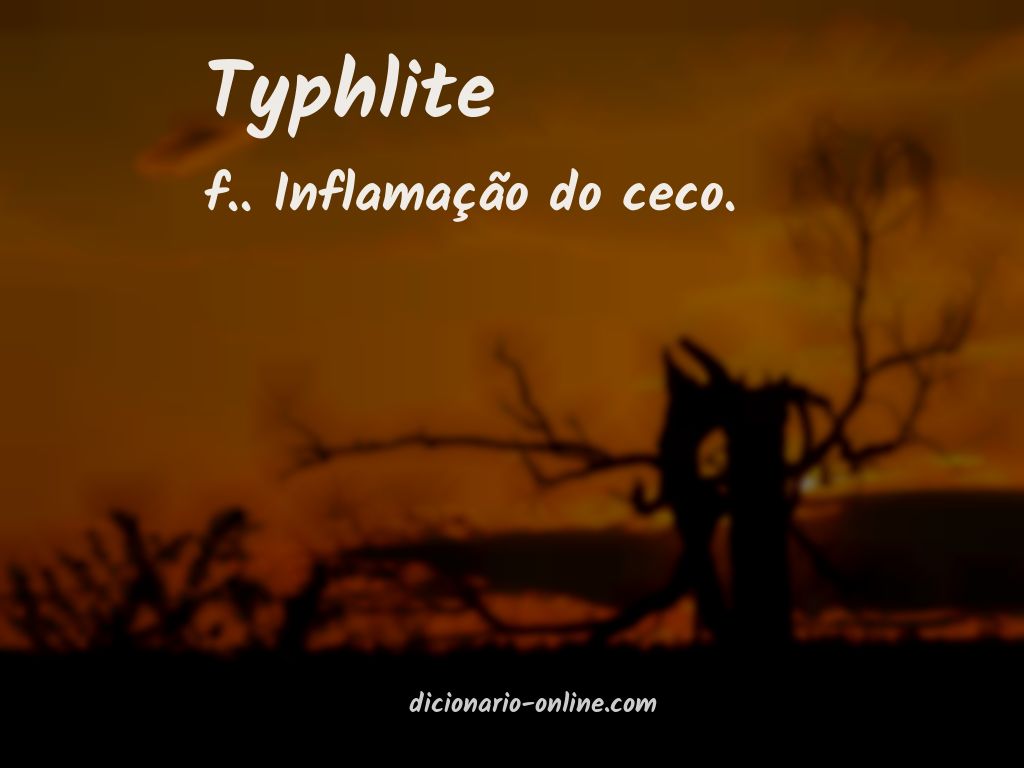 Significado de typhlite