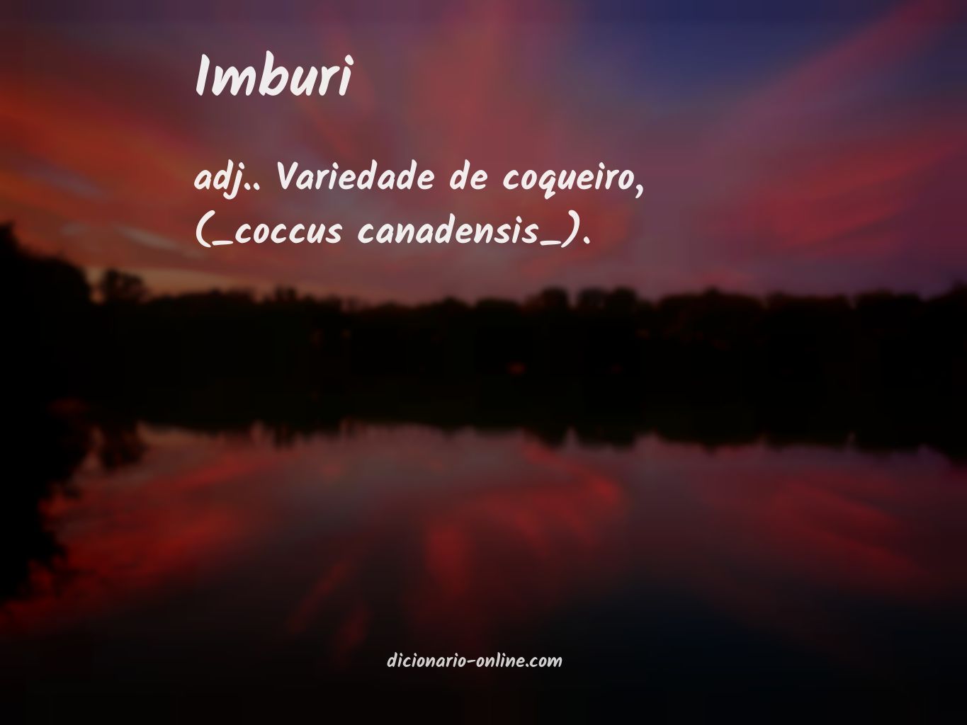 Significado de imburi