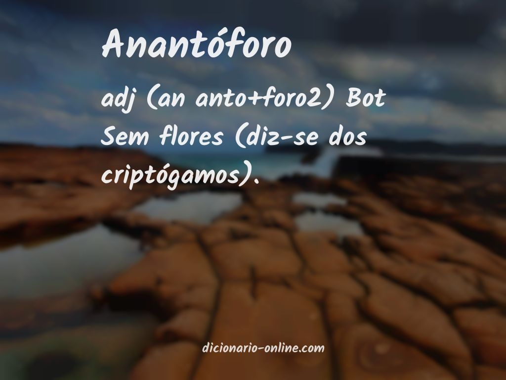 Significado de anantóforo