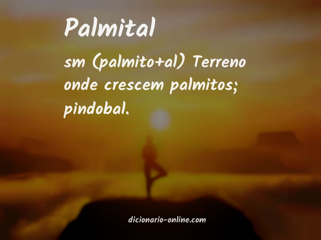 Significado de palmital