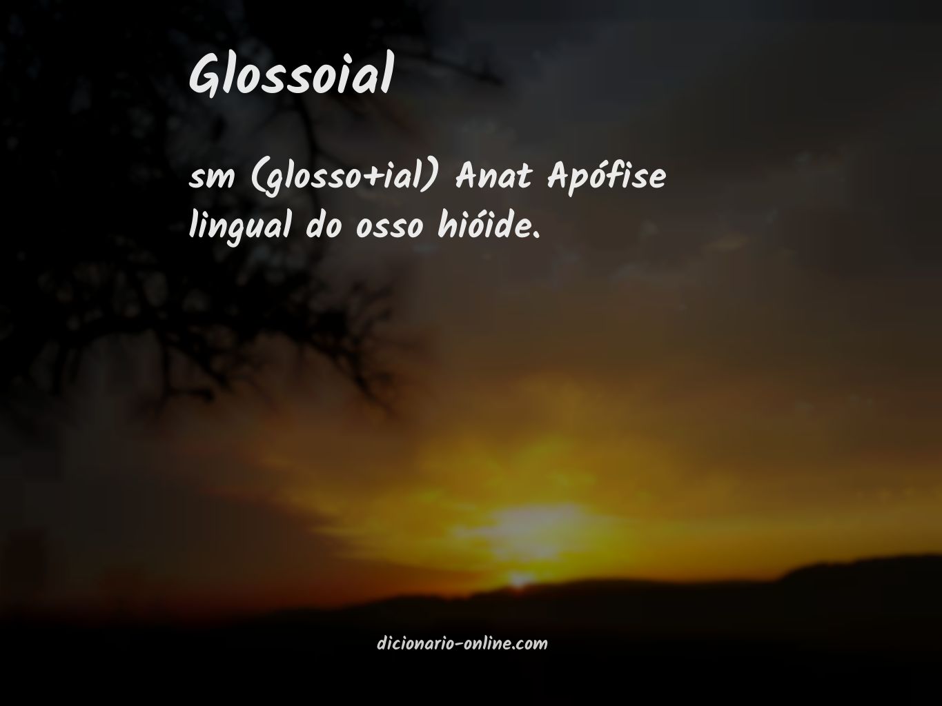 Significado de glossoial