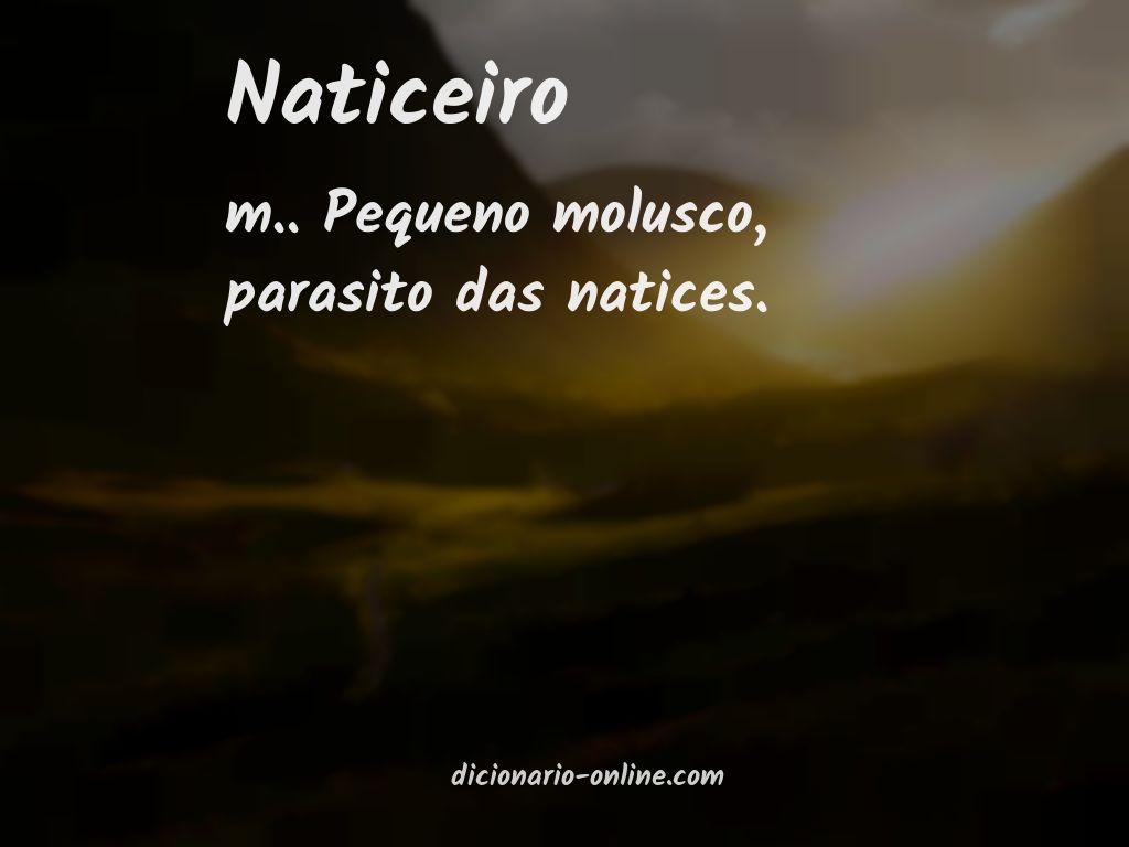 Significado de naticeiro